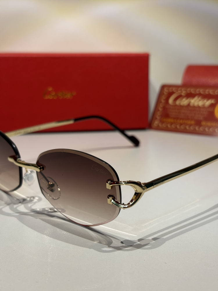 Cartier Unisex Güneş Gözlüğü CTR102