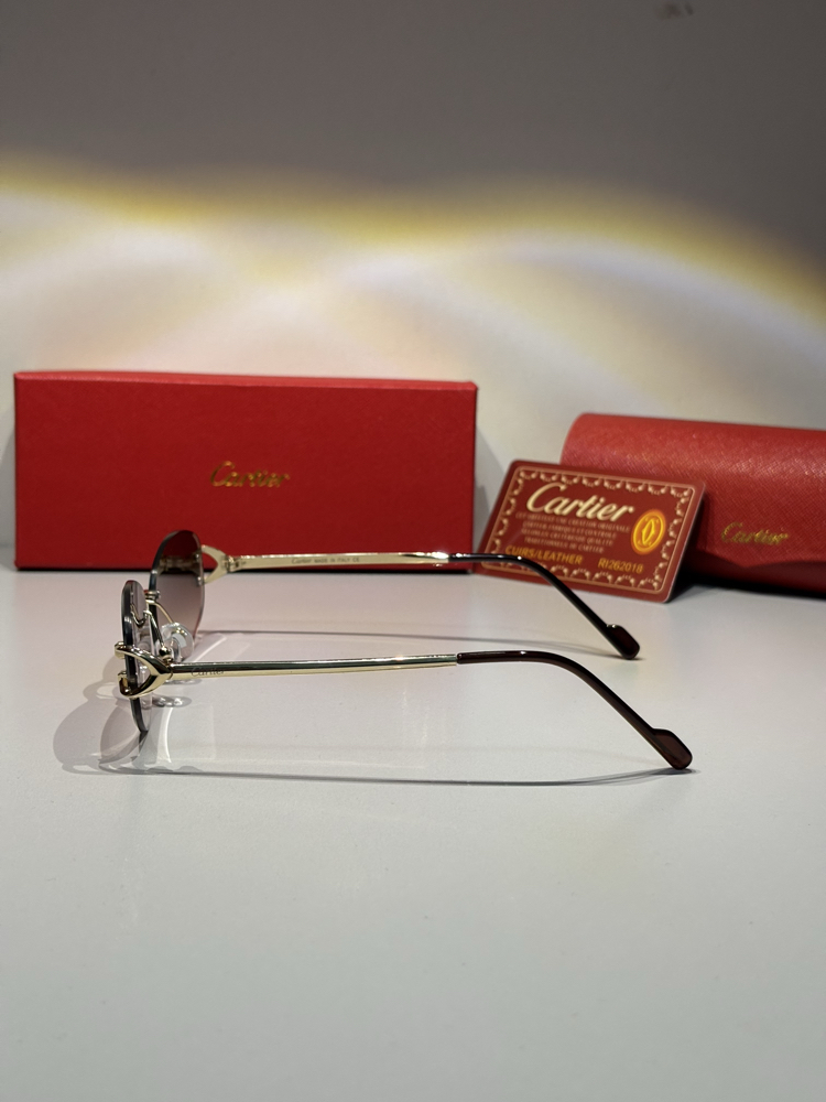 Cartier Unisex Güneş Gözlüğü CTR102
