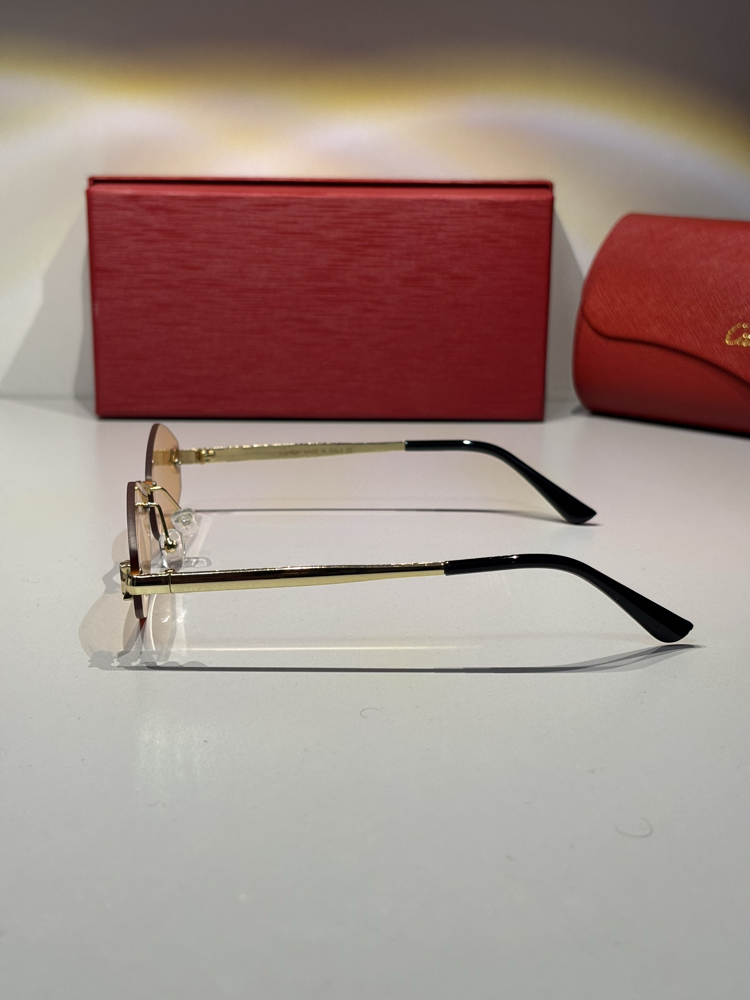 Cartier Unisex Güneş Gözlüğü CTR94