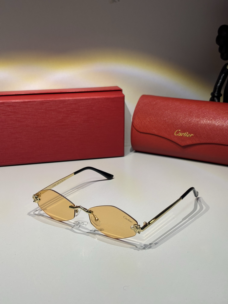 Cartier Unisex Güneş Gözlüğü CTR94