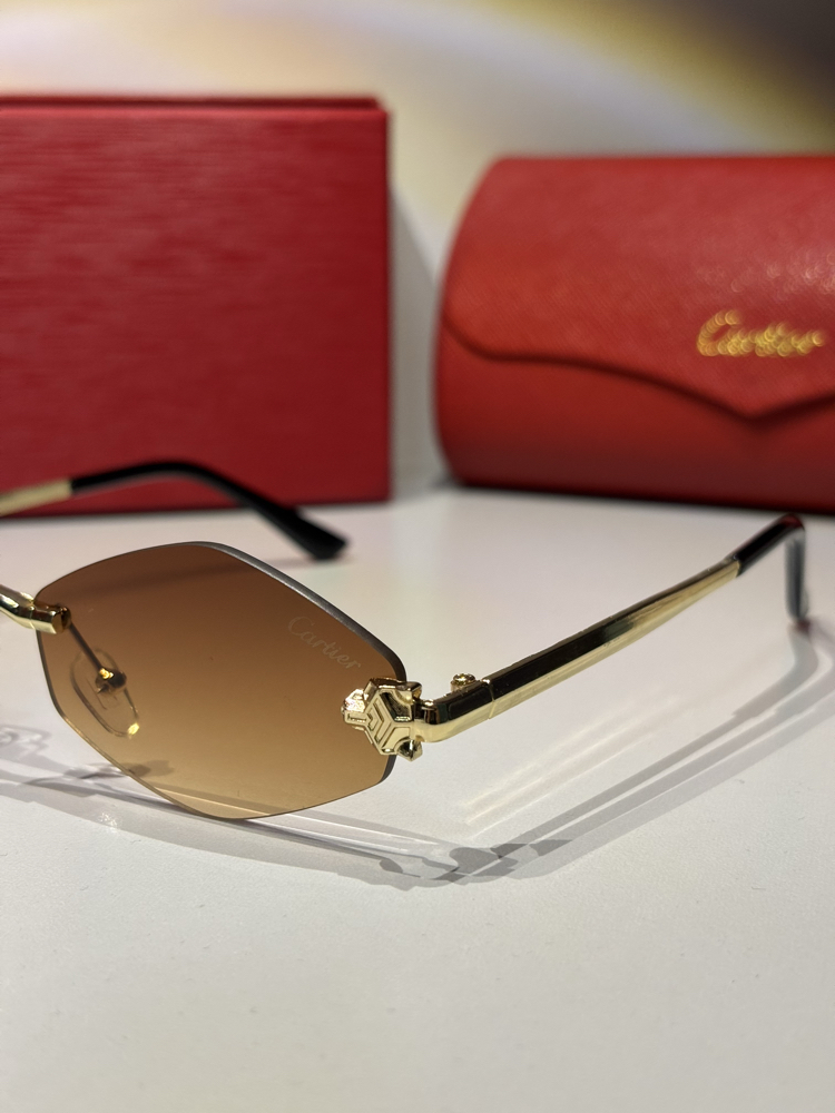 Cartier Unisex Güneş Gözlüğü CTR93