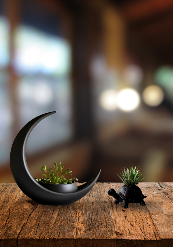 Ay ve Kaplumbağa Saksı Seti - Modern Dekoratif 3D Tasarım 2’li Mini Saksı (Bitkisiz)