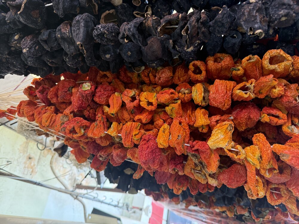 Kurutulmuş Dolma Biber  (Yeni sezon)