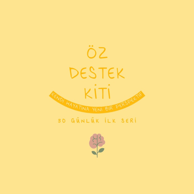 Öz Destek Kiti Seviye 1 , E-Günlük