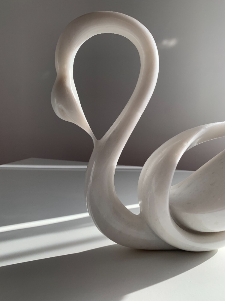 Swan of Light