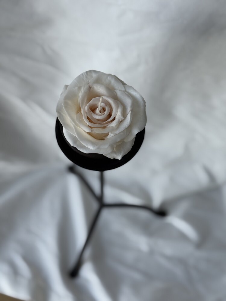 Classic White Rose Candle