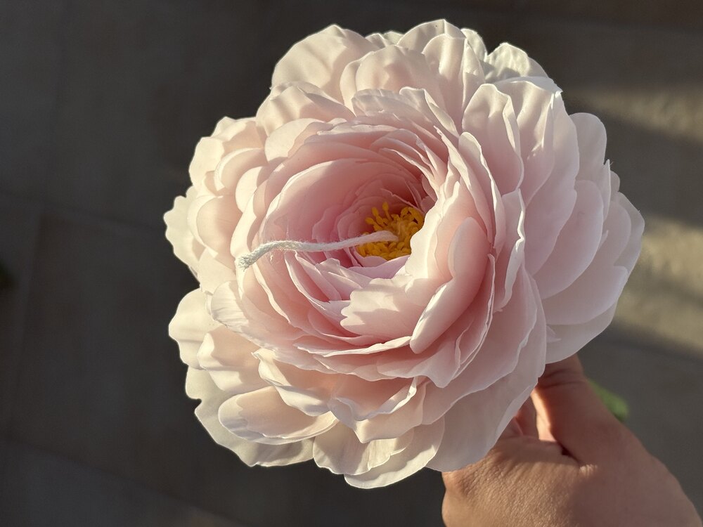 Light Pink Peony