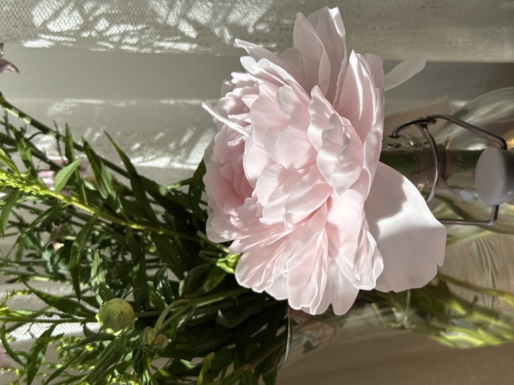 Light Pink Peony