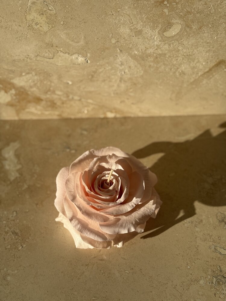 La Vie En Rosa