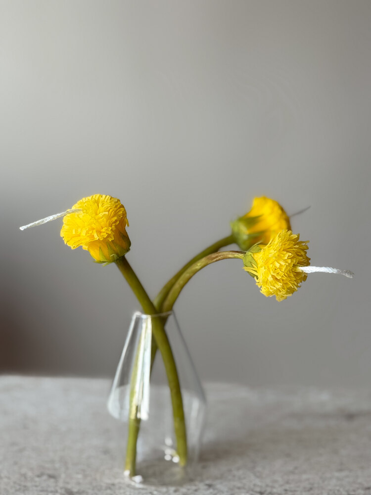 Dandelion Sun