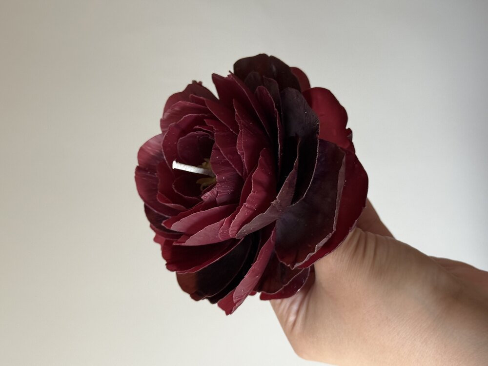 Peony Burgundy