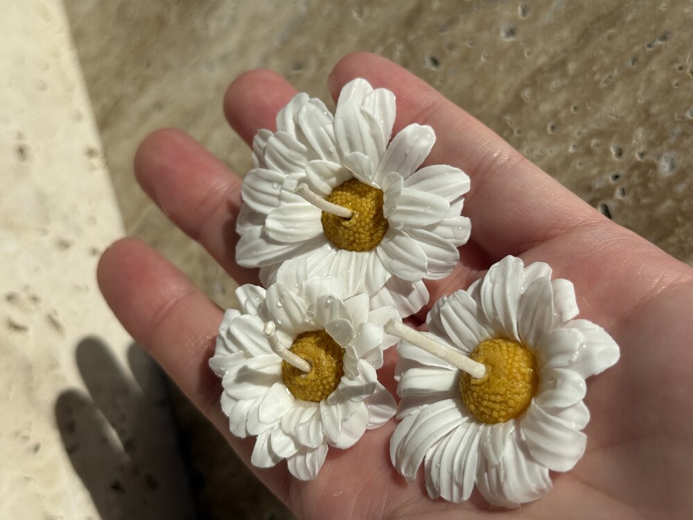 Daylight&Daisy