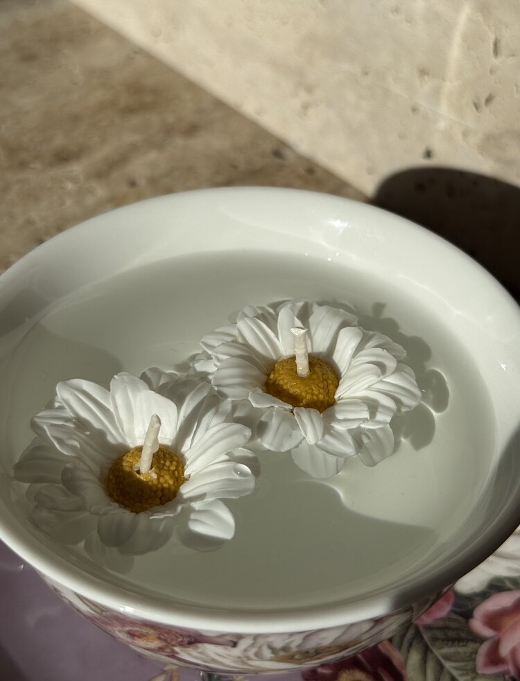 Daylight&Daisy