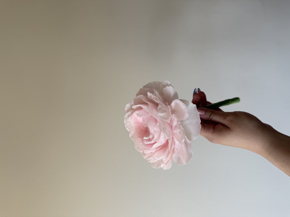 Light Pink Peony