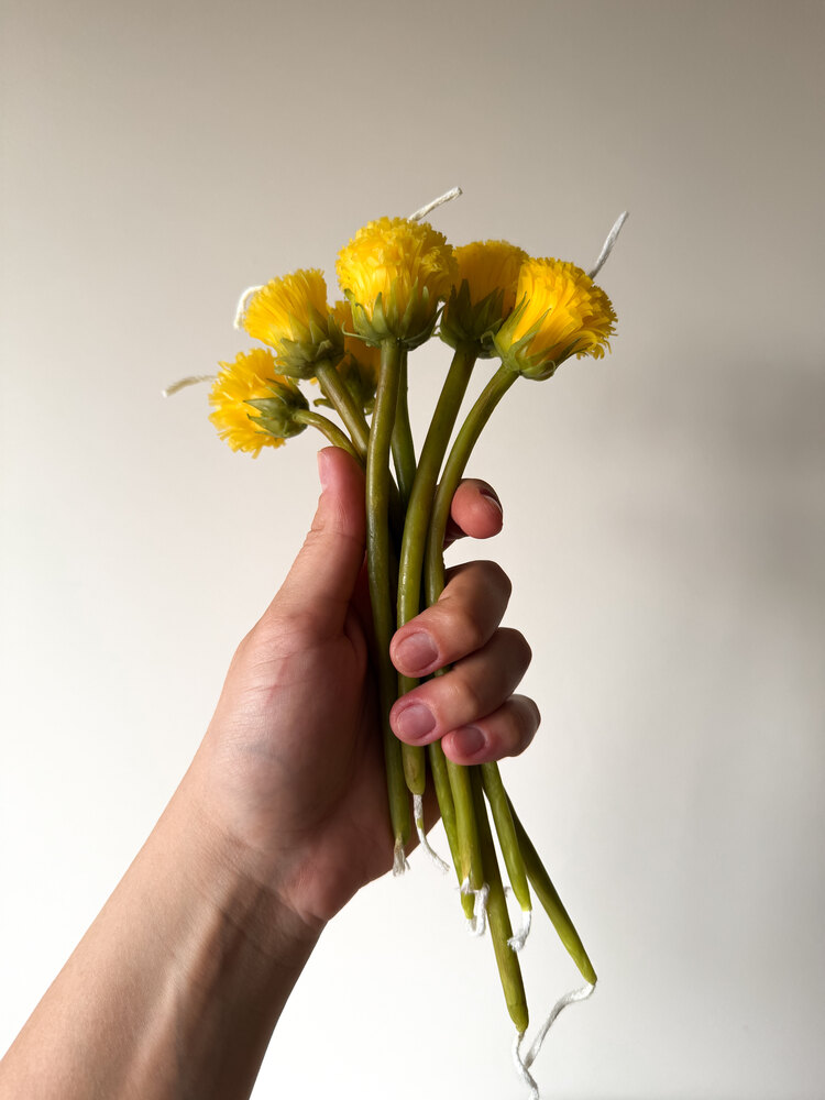 Dandelion Sun