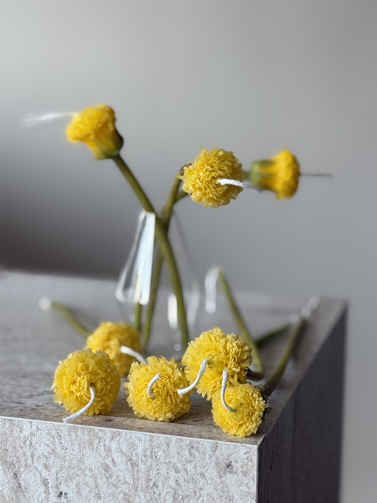 Dandelion Sun