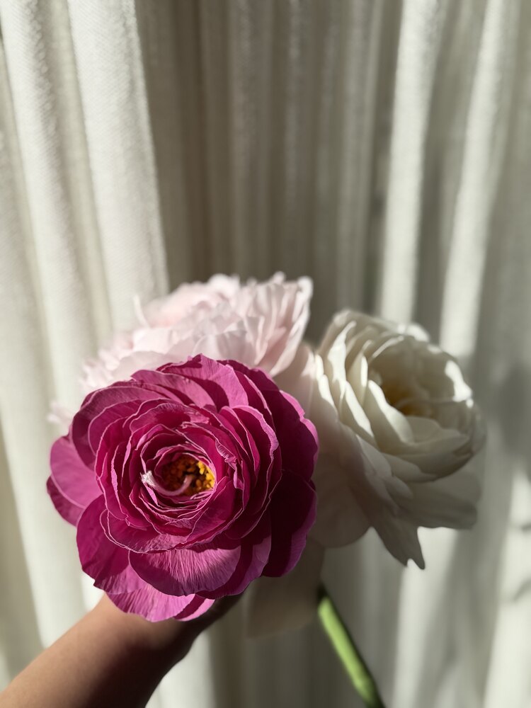 Dark Pink Peony