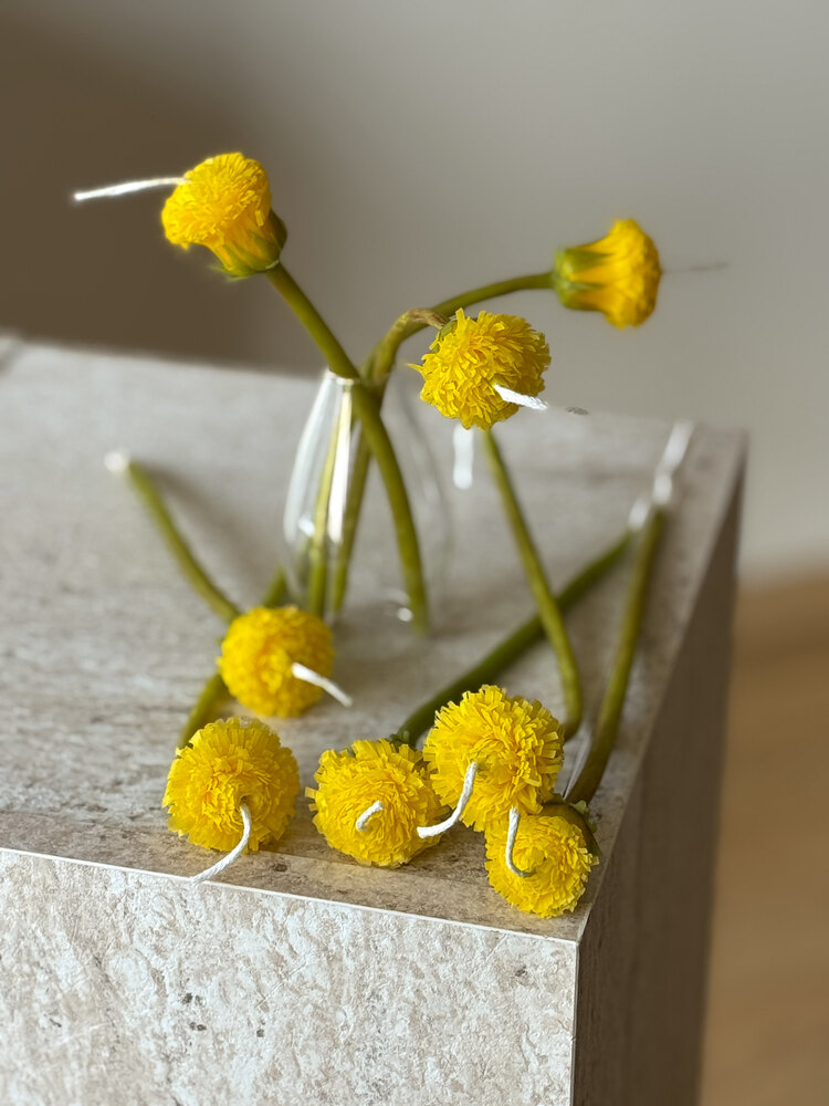 Dandelion Sun