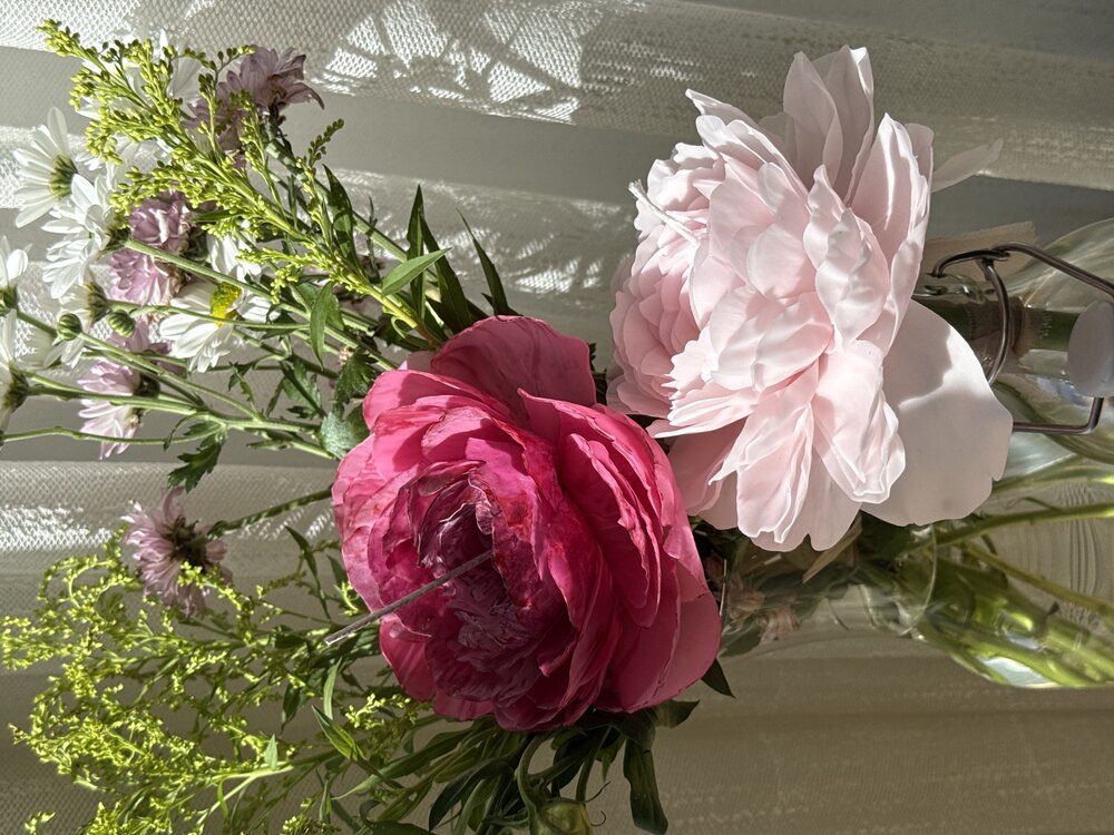 Dark Pink Peony