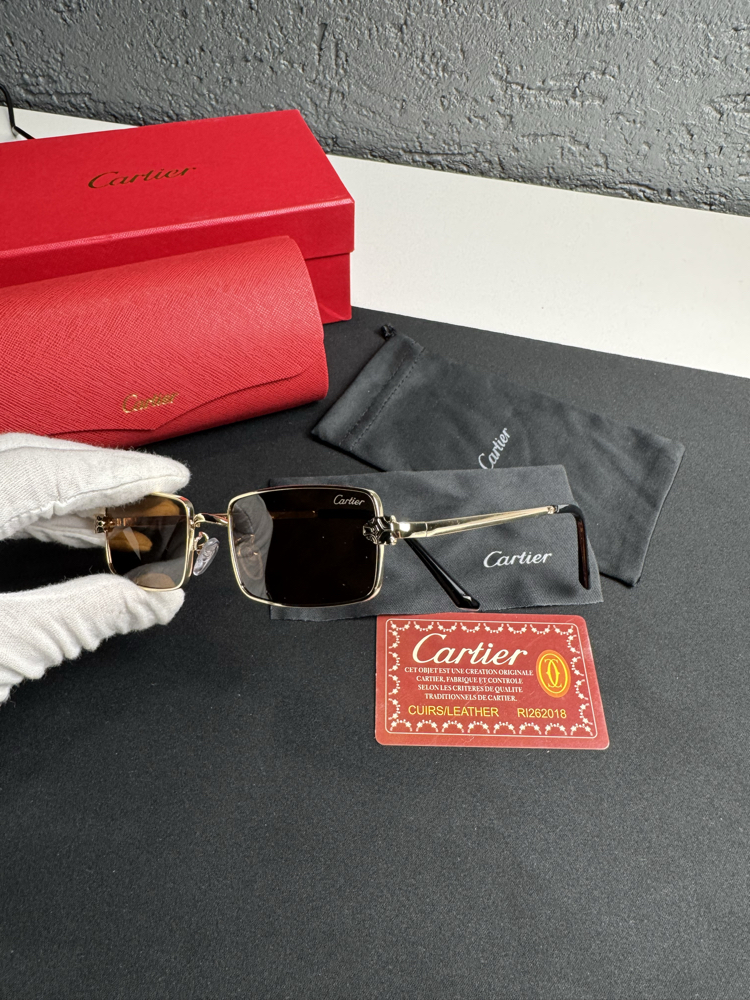 Cartier İthal Premium Gözlük (Model 3)