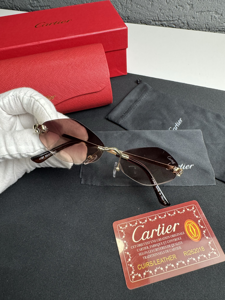 Cartier İthal Premium Gözlük (Model 5)