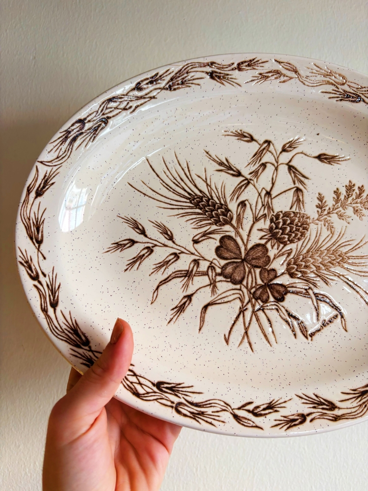 70’s James Cooper English Ironstone Wall Plate
