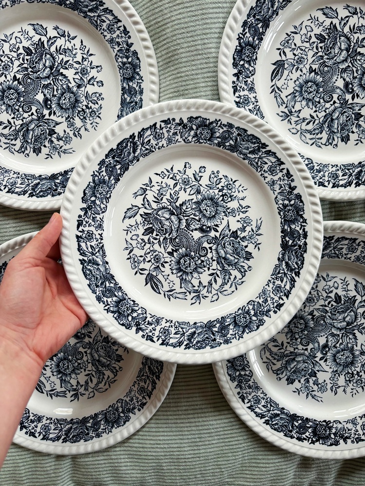 70’s Bleu Blanc Rustic Plates 