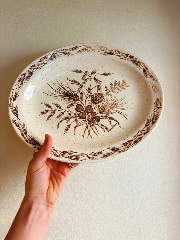 70’s James Cooper English Ironstone Wall Plate