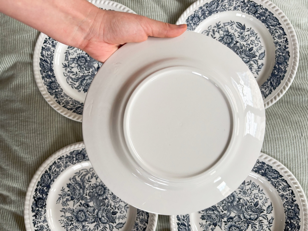 70’s Bleu Blanc Rustic Plates 