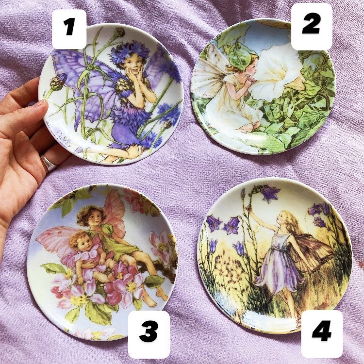 Flower Fairies Porcelain Wall Plates 
