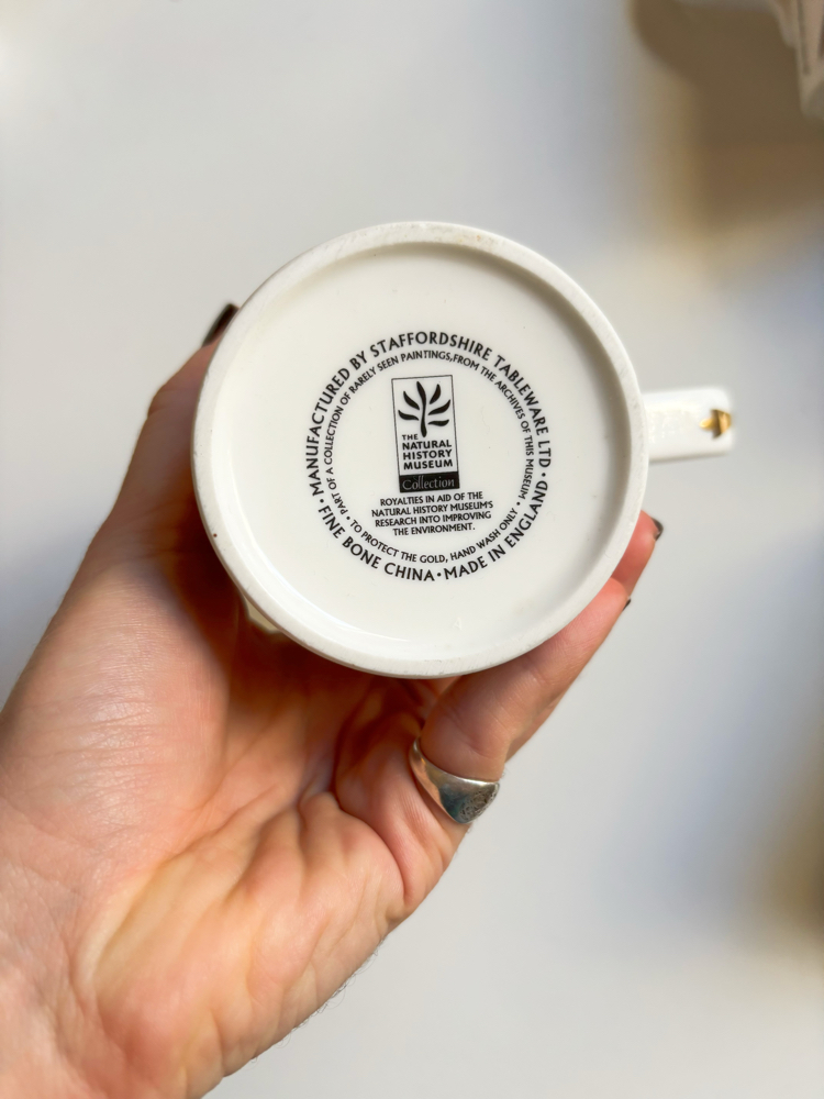 Botanical Mug from London National History Museum