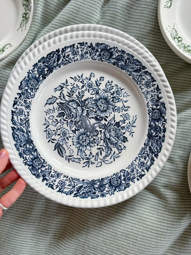70’s Bleu Blanc Rustic Plates 