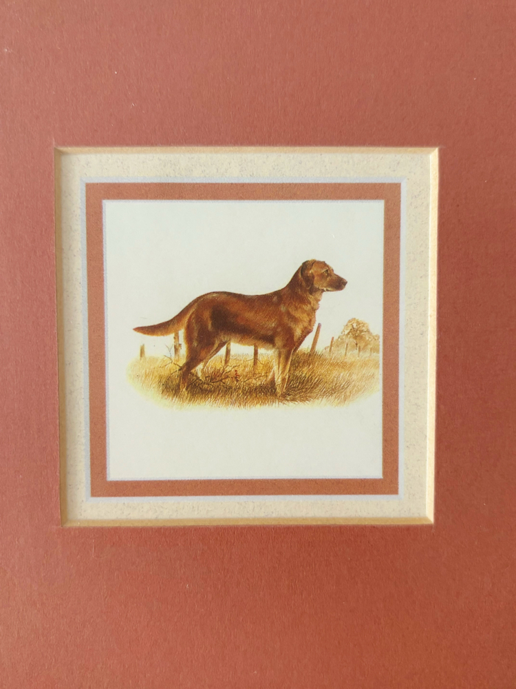 Vintage Wooden Framed Wall Art 