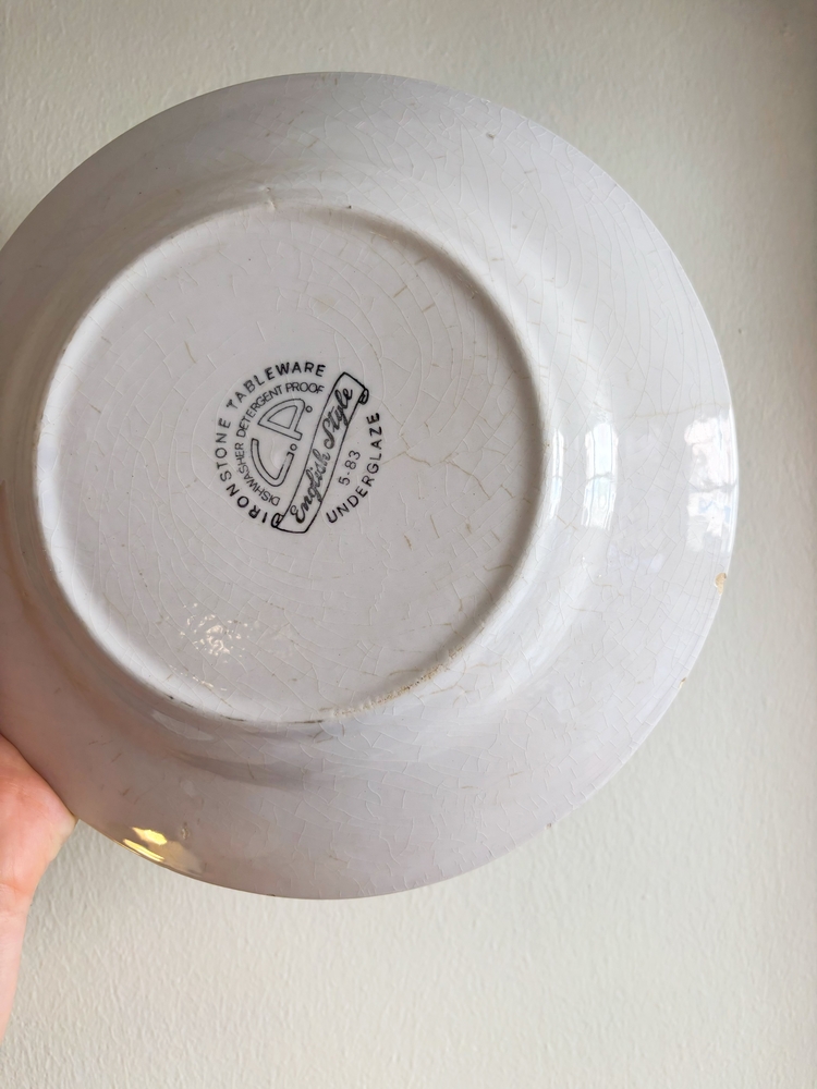 70’s English Ironstone Fish Wall Plate
