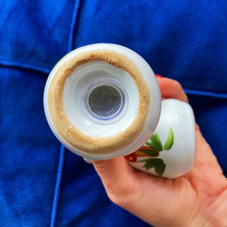 80’s Handpainted Mushroom Salt and Pepper Shakers 