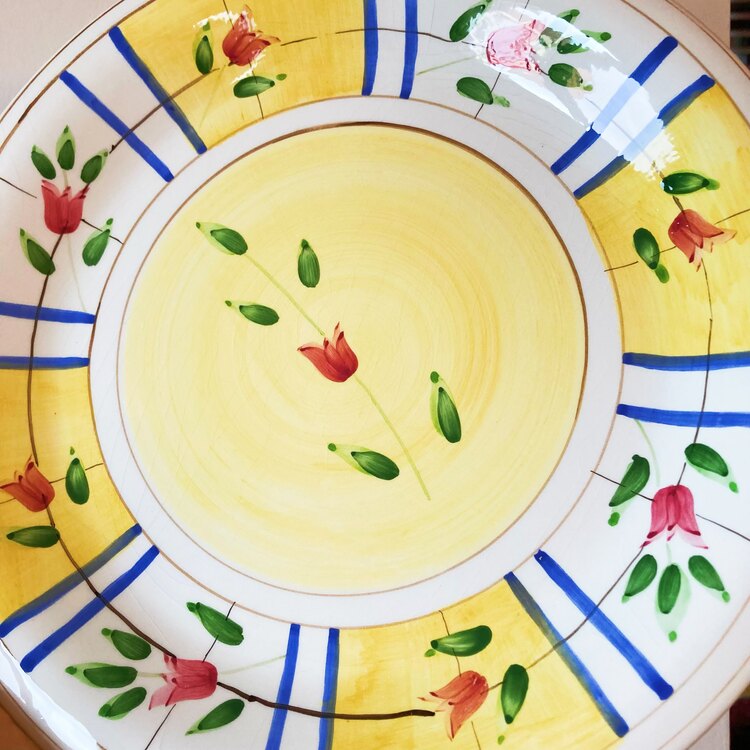 Hand Painted Ceramic Plates with Tulip Design