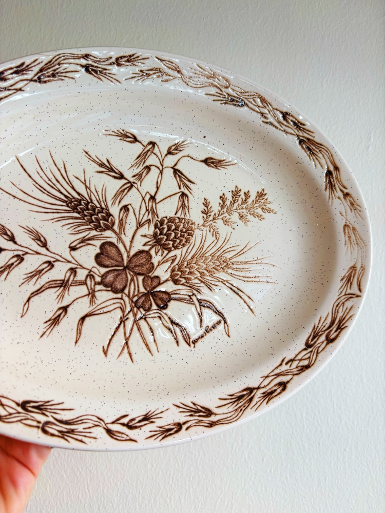 70’s James Cooper English Ironstone Wall Plate