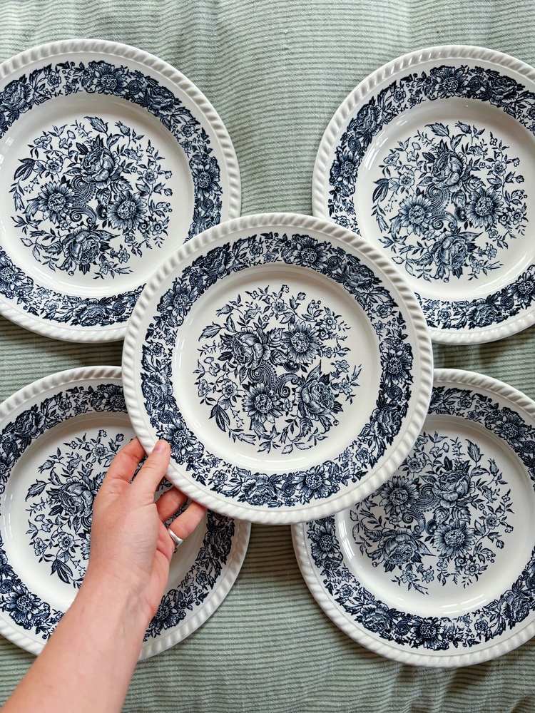 70’s Bleu Blanc Rustic Plates 