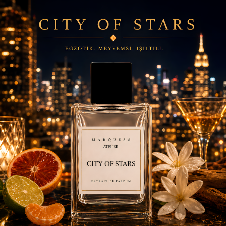 Louis Vuitton | City of Stars M'Atelier Version
