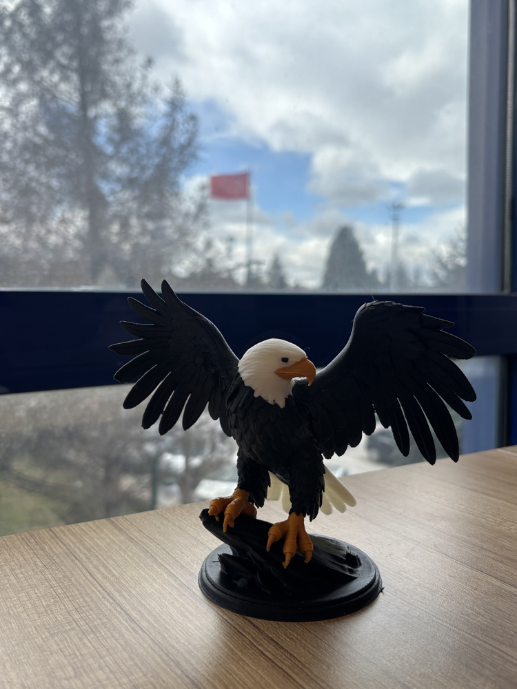 Kartal figür