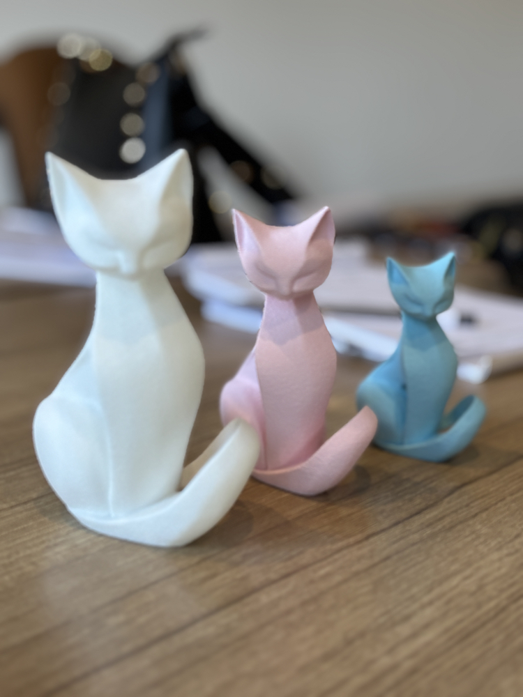 Luna Cat Takım