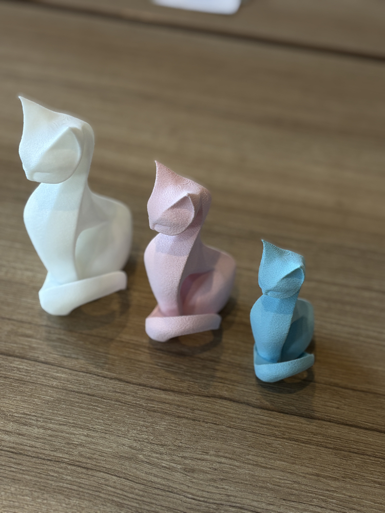 Luna Cat Takım