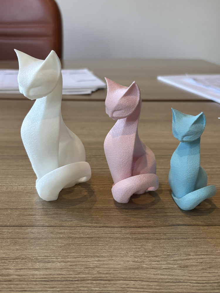 Luna Cat Takım