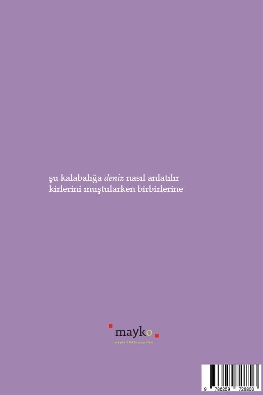 Yüreği Ağzında Yeryüzü - Hasan Çapik