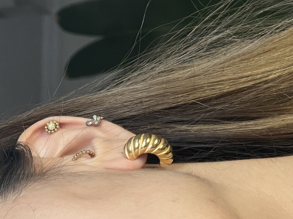 Vanessa Gold Küpe