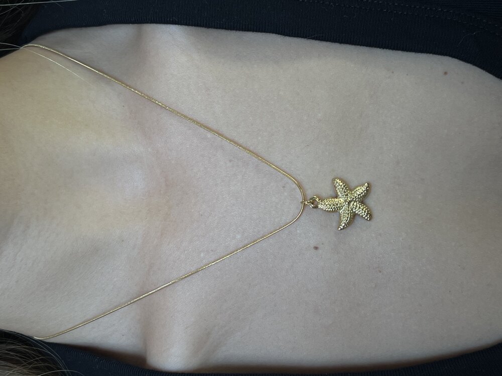 Midi Starfish Kolye