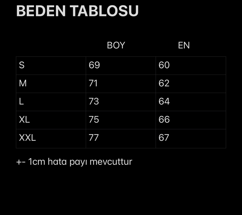 Balenciaga Premıum Oversize T-Shırt