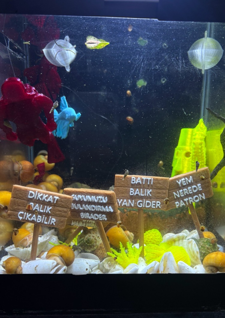 Akvaryum teraryum petshop dekor