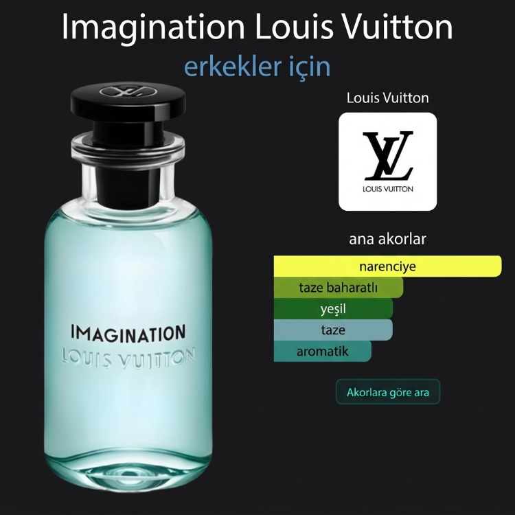 NO:56 L.V Imagination