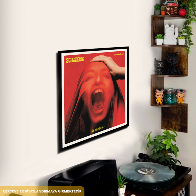 Scorpions Rock Believer